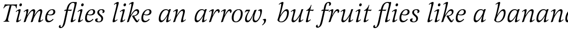 Latienne Italic