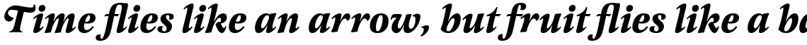 Latienne Bold Italic Swash
