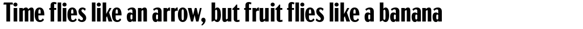 Acme Gothic Compressed Bold
