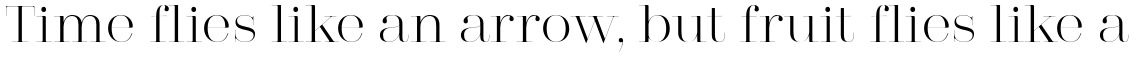 Absolute Beauty Serif Thin
