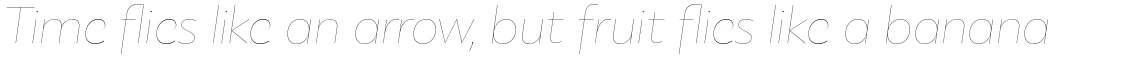 PF Bague Sans Standard Hairline Italic