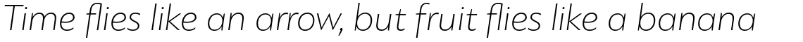PF Bague Sans Standard Thin Italic