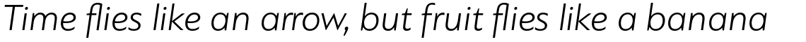 PF Bague Sans Standard Light Italic