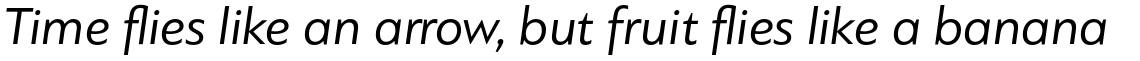 PF Bague Sans Standard Regular Italic