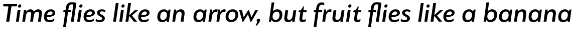 PF Bague Sans Standard Medium Italic