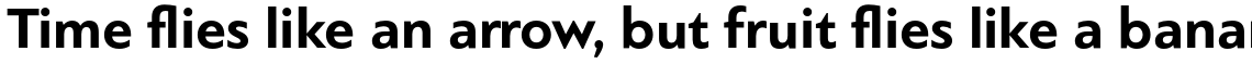 PF Bague Sans Standard Bold