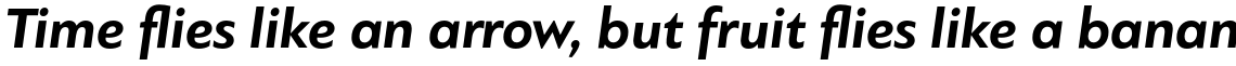 PF Bague Sans Standard Bold Italic