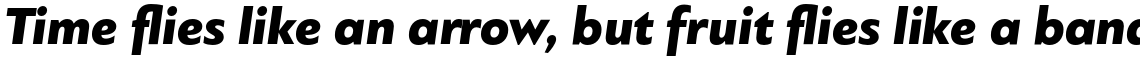 PF Bague Sans Standard Black Italic