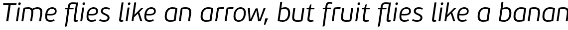 PF Beau Sans Pro Light Italic
