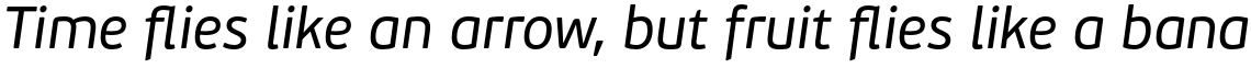 PF Beau Sans Pro Italic