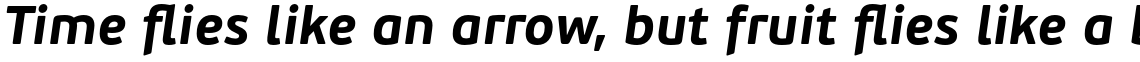 PF Beau Sans Pro Bold Italic