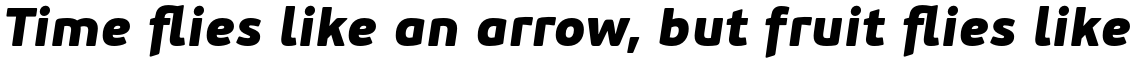 PF Beau Sans Pro Black Italic
