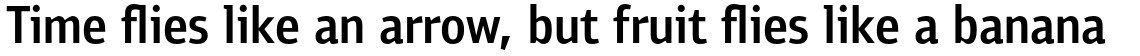 PF Bulletin Sans Pro Medium