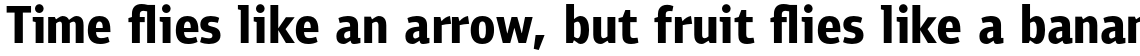 PF Bulletin Sans Pro Bold
