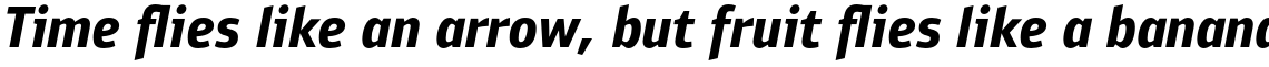 PF Bulletin Sans Pro Bold Italic