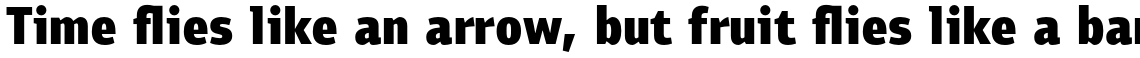 PF Bulletin Sans Pro Black