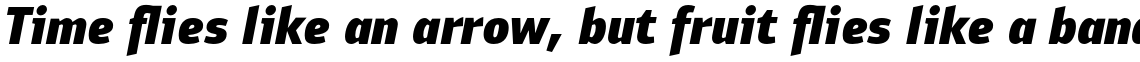 PF Bulletin Sans Pro Black Italic
