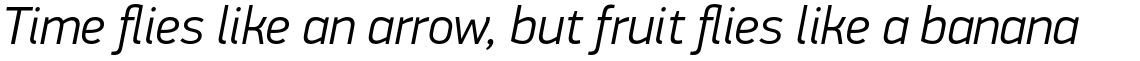 PF Din Display Pro Light Italic