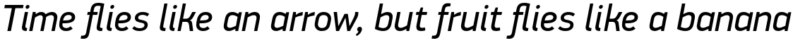 PF Din Display Pro Italic