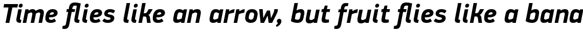 PF Din Display Pro Bold Italic