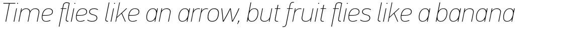 PF Din Text Pro Extra Thin Italic