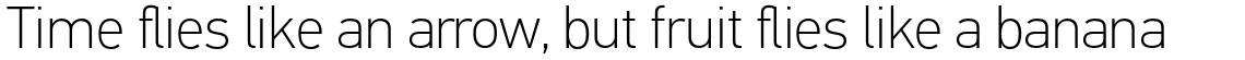 PF Din Text Pro Thin