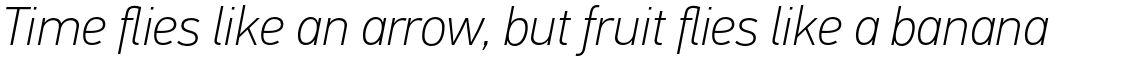 PF Din Text Pro Thin Italic