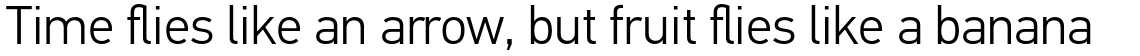 PF Din Text Pro Light