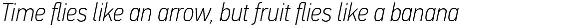 PF Din Text Condensed Pro Thin Italic