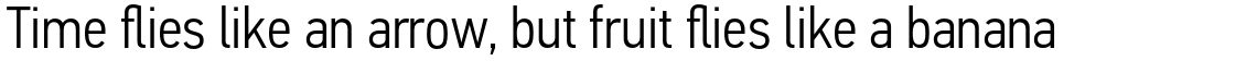 PF Din Text Condensed Pro Light