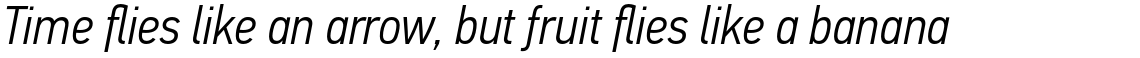 PF Din Text Condensed Pro Light Italic