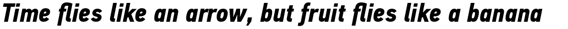 PF Din Text Condensed Pro Bold Italic