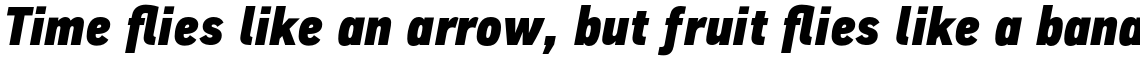 PF Din Text Condensed Pro Extra Black Italic