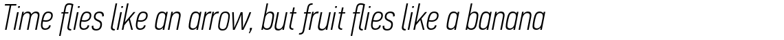 PF Din Text Compressed Pro Thin Italic