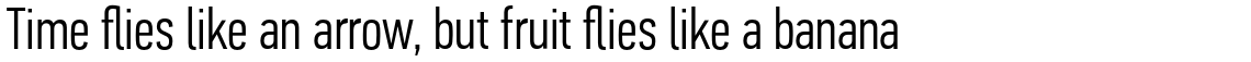 PF Din Text Compressed Pro Light