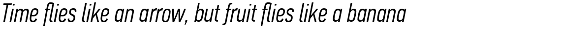 PF Din Text Compressed Pro Light Italic