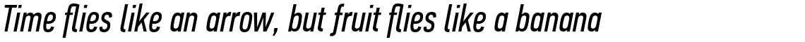 PF Din Text Compressed Pro Italic