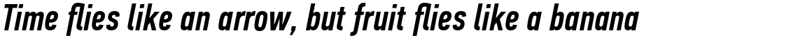 PF Din Text Compressed Pro Medium Italic