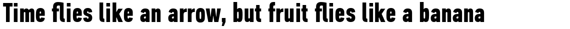 PF Din Text Compressed Pro Bold