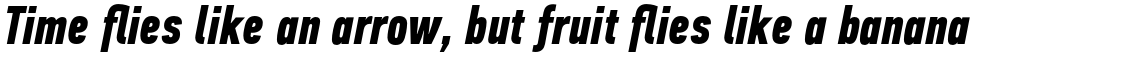 PF Din Text Compressed Pro Bold Italic