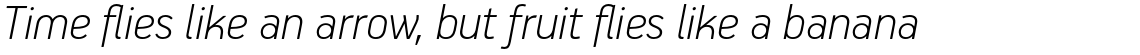 PF Handbook Pro Thin Italic