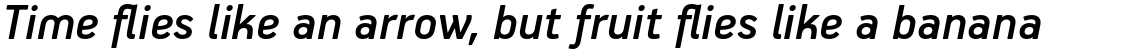 PF Handbook Pro Medium Italic
