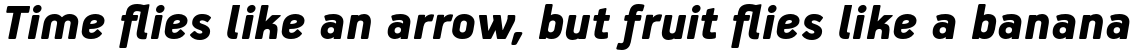 PF Handbook Pro Black Italic