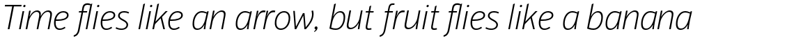 PF Highway Sans Pro Thin Italic