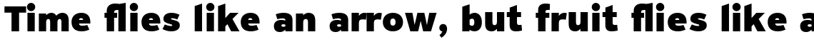 PF Highway Sans Pro Black