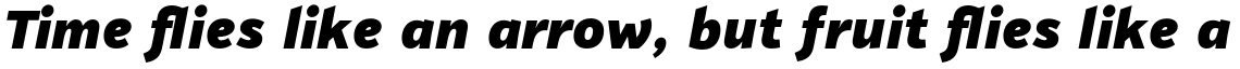 PF Highway Sans Pro Black Italic