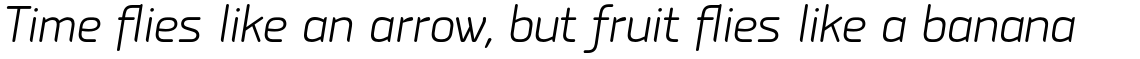 PF Isotext Pro Light Italic