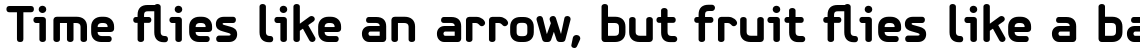 PF Isotext Pro Bold