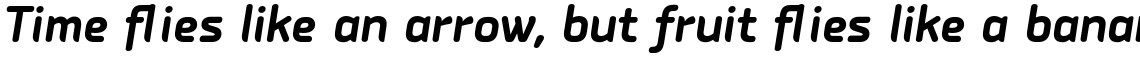PF Isotext Pro Bold Italic