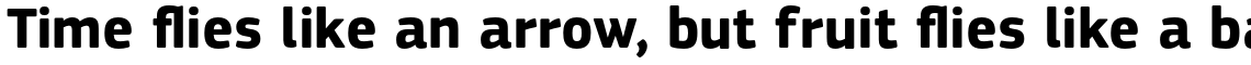 PF Square Sans Pro Bold